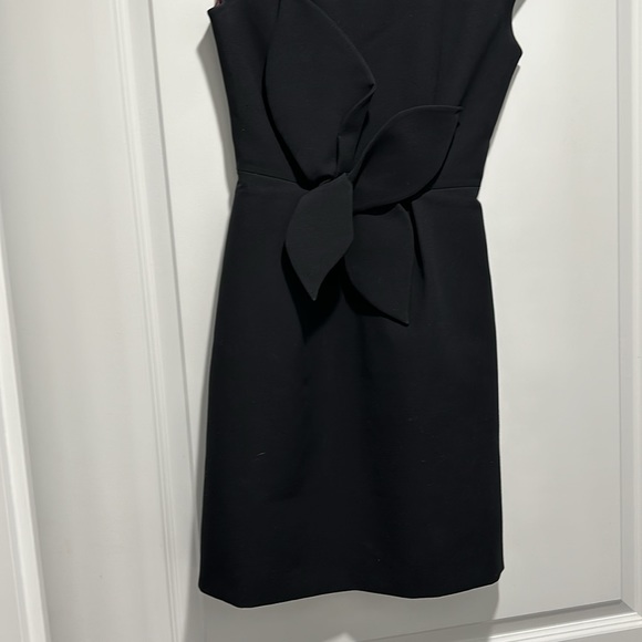 Ted Baker dress - Picture 4 of 12